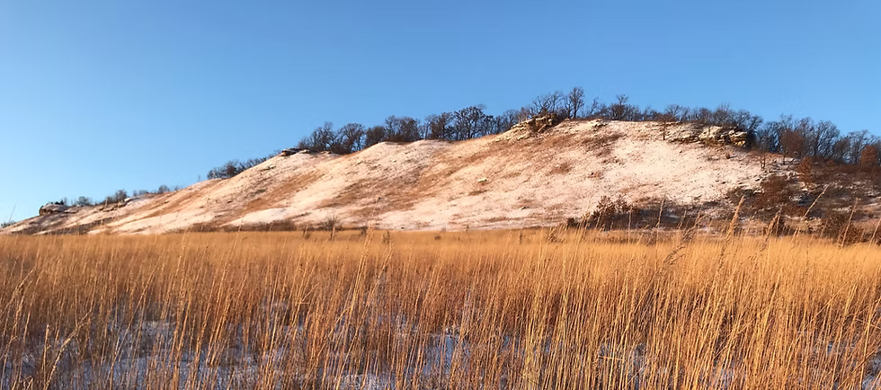 picture of the Driftless