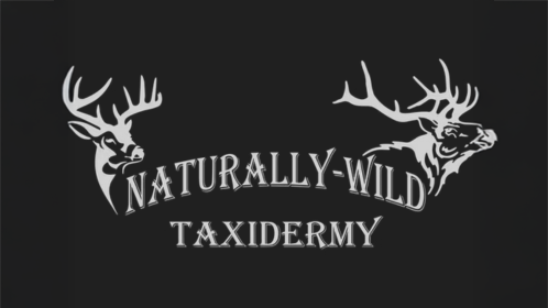 Naturally-Wild Taxidermy Logo