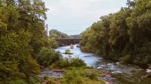 Dougherty Creek River View