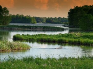 Wisconsin landscape, early territorial period